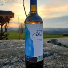 bouteille de vin Domaine du Buis