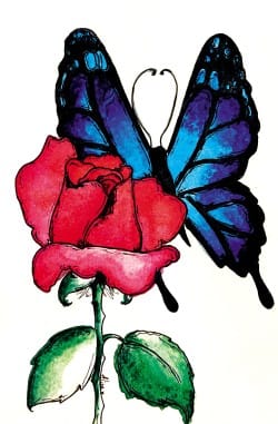 Papillon sur une rose dessiné par l'illustratrice Aline Richard