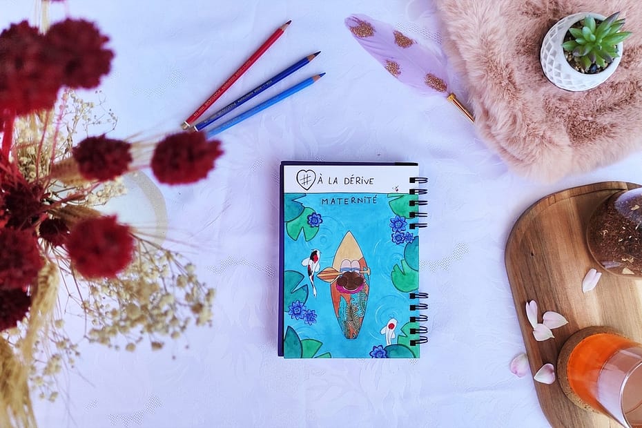 article à la dérive - du blog de l'illustratrice Aline Richard